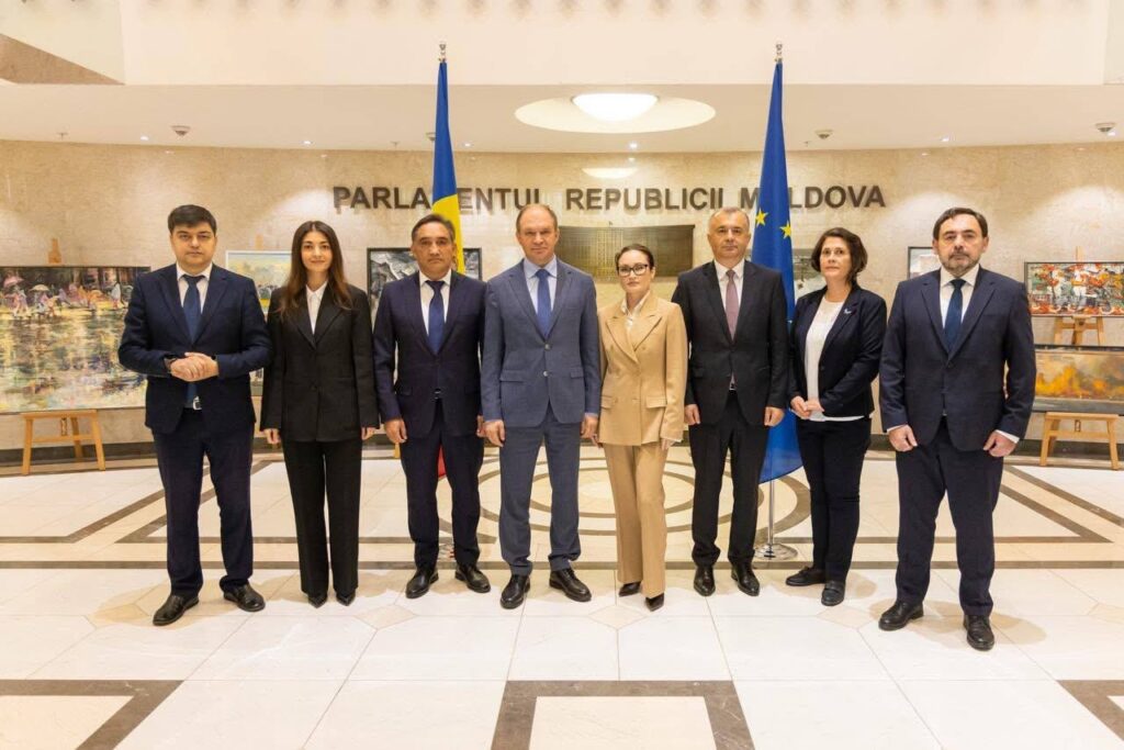 Fracțiunea ALTERNATIVA obține funcții-cheie în structurile Parlamentului