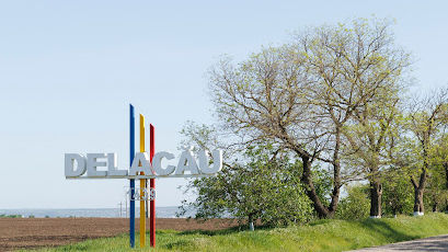 Primarul satului Delacău, raionul Anenii Noi, condamnat pentru fals în acte publice