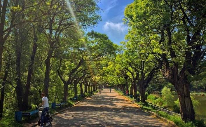 Chișinău: Parcul „Valea Trandafirilor” se extinde cu noi spații de agrement și facilități moderne