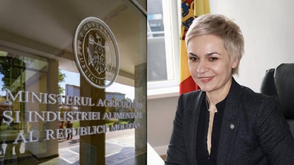 Guvernul a demis-o pe Tatiana Nistorică, secretara de stat cercetată într-un dosar CNA