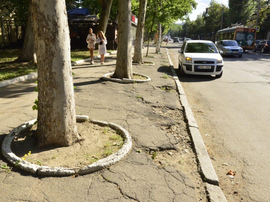 Strada Ion Creangă va fi modernizată: noi parcări, trotuare și arbori plantați în locul celor uscați