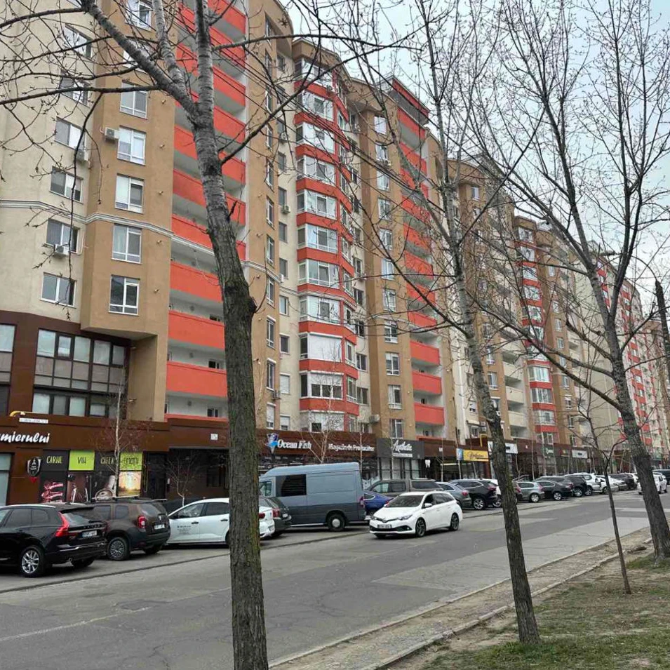 Lucrările continuă pe strada Ginta Latină: se aplică stratul de uzură și se amenajează infrastructura din zonă