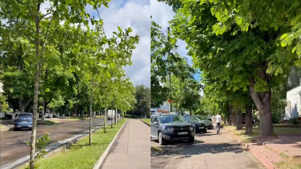 O zonă importantă din Chișinău va fi modernizată. Lucrări de infrastructură pe strada Gheorghe Asachi