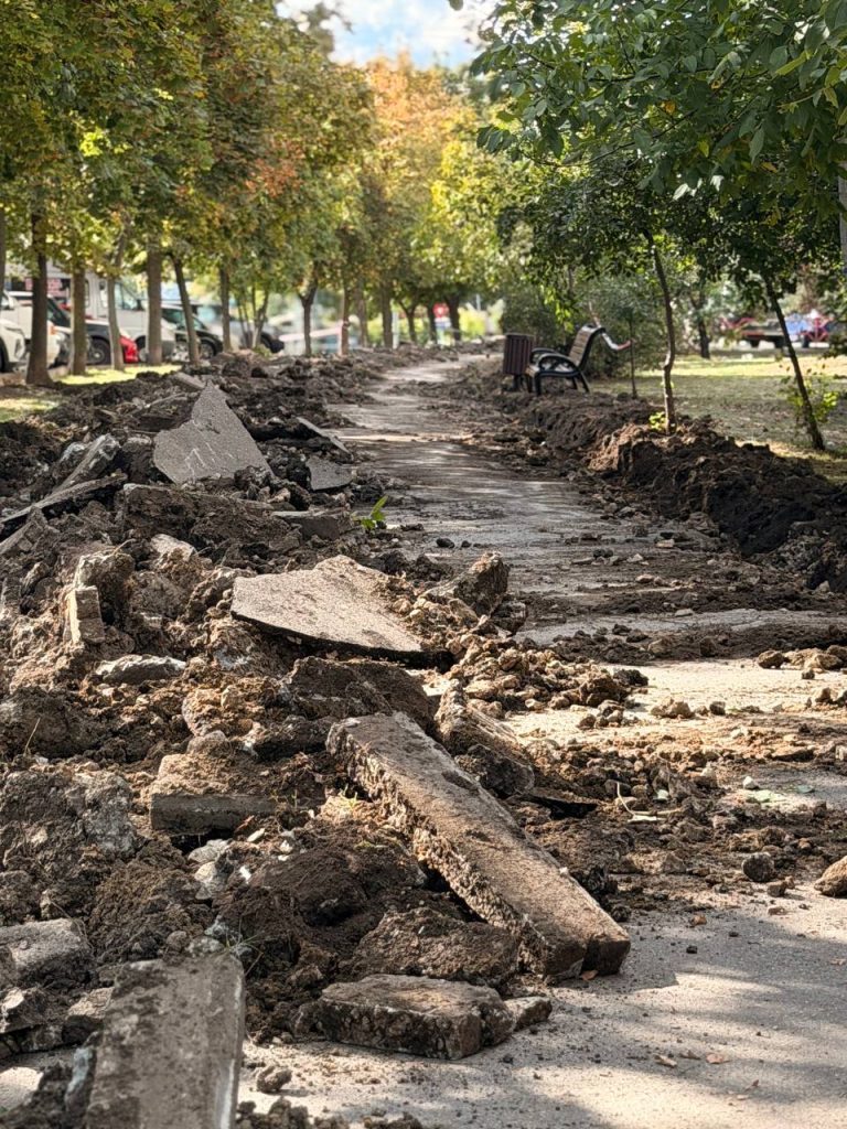 Un trotuar aflat într-o stare deplorabilă este reabilitat pe strada Petru Zadnipru
