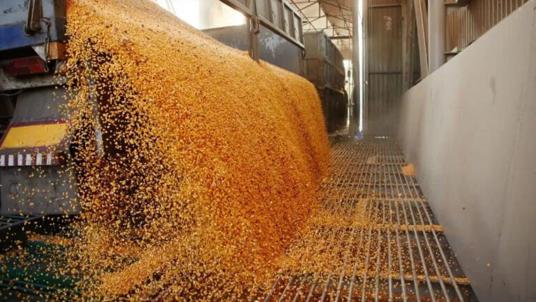Letonia nu poate interzice tranzitul cerealelor rusești fără riscul unor litigii de până la 800 de milioane de euro